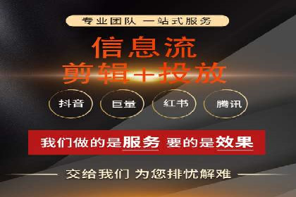 行业领先的SEM竞价广告投放案例